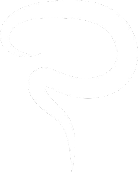 SkullApp